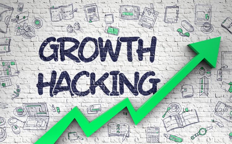 Growth Hacking SEO